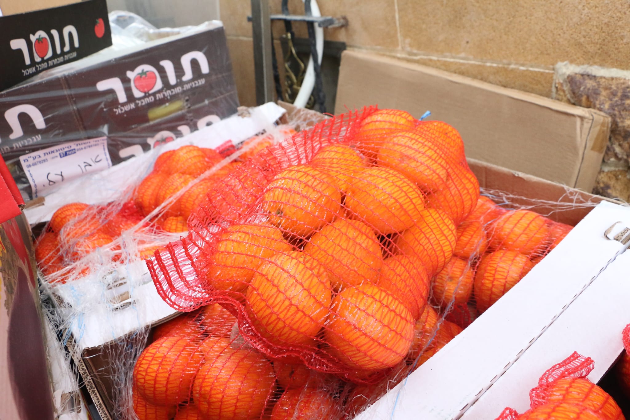 WhatsApp Image 2023-04-11 at 8.33.06 AM.jpeg